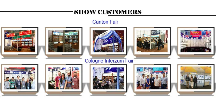 (W766) Cheap Price& High Quality of Shelf Support for Furniture Cabinet