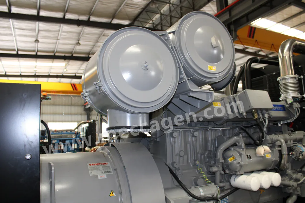 175kw Open Type Diesel Genset Powered by Perkins[Mbpo04]