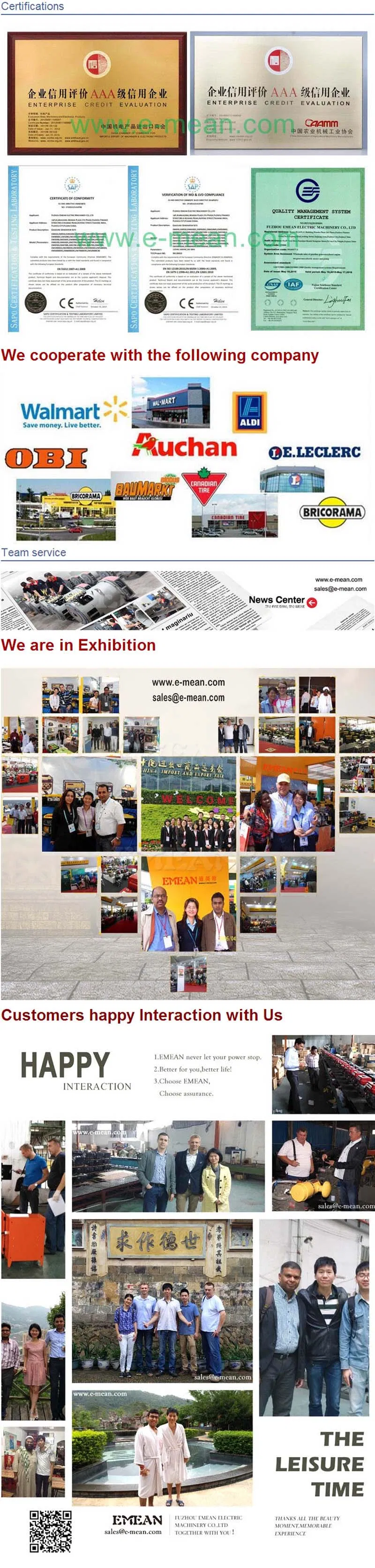 90kw/112.5kVA Diesel Power Open Ricardo Generator with Stanford Alternator