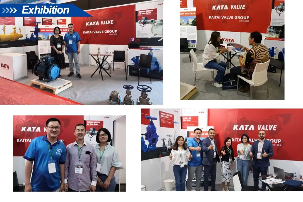 API6d Fire Safe Forged Steel Trunnion Mounted Ball Valve 6in 1500lb F316 Three Piece Bolted Bonnet