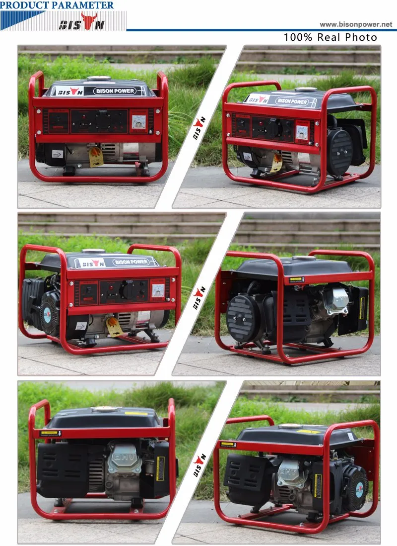 Bison (China) BS1800A 1kw China Manufacturer Portable Household Generator 156f