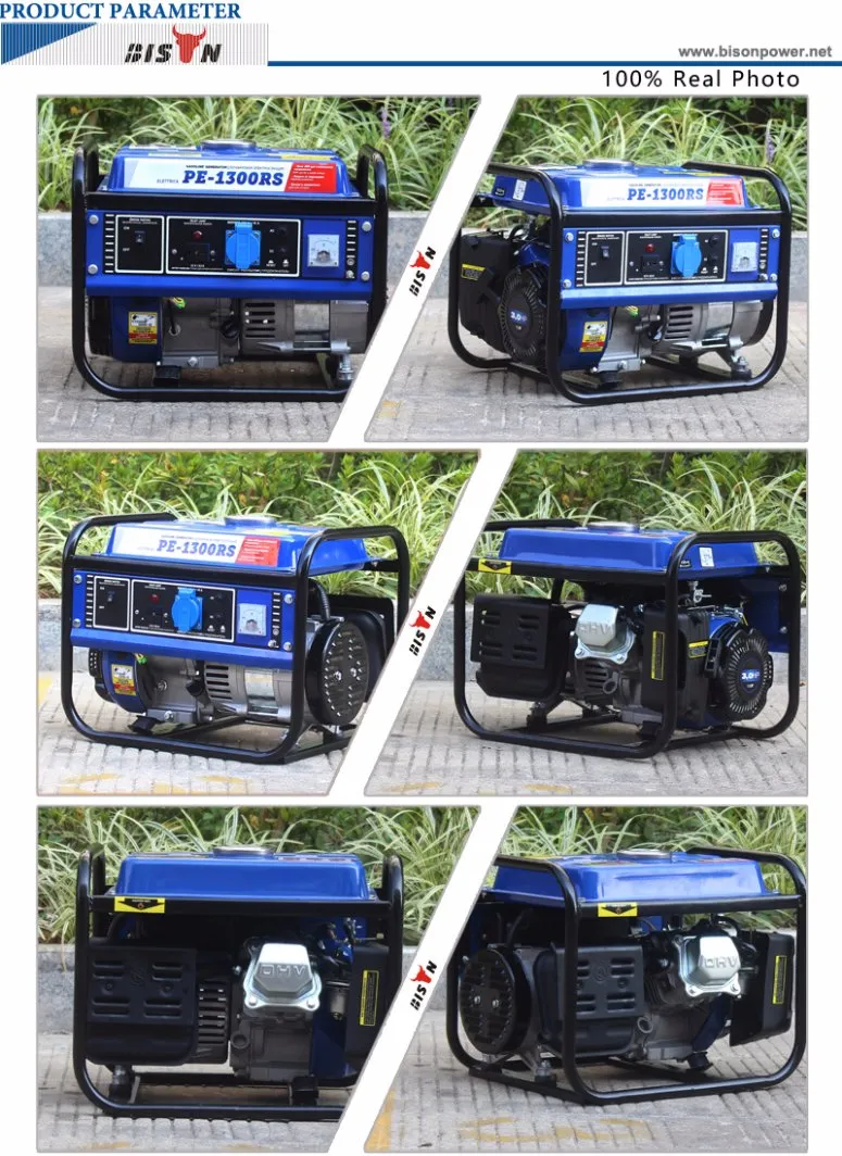 Bison (China) BS1800A 1kw Single Phase Ce Certificated Portable Generator
