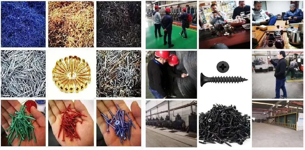 Black Phosphated Bugle Head/1022A Drywall Screw Factory Price