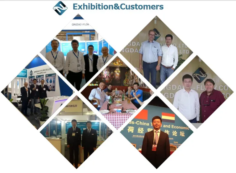 BS5150 Rising Stem Cast Iron Gate Valve with Bronze Ss Trim for Water