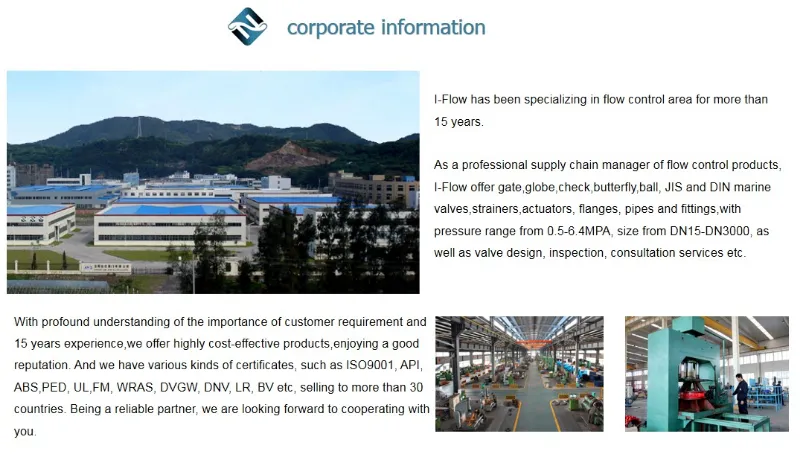 BS5150 Rising Stem Cast Iron Gate Valve with Bronze Ss Trim for Water