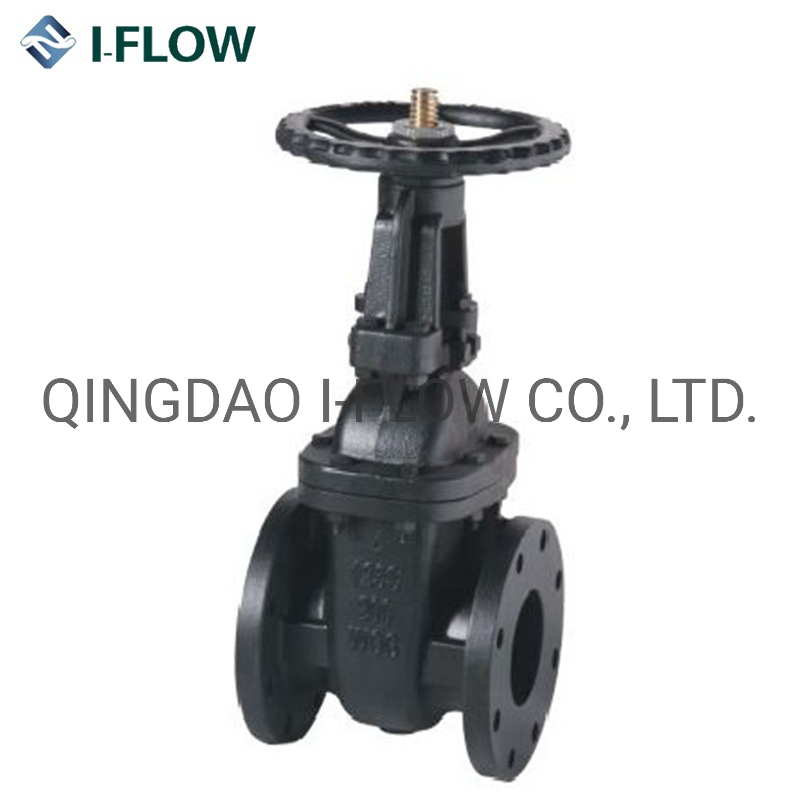 BS5150 Rising Stem Cast Iron Gate Valve with Bronze Ss Trim for Water