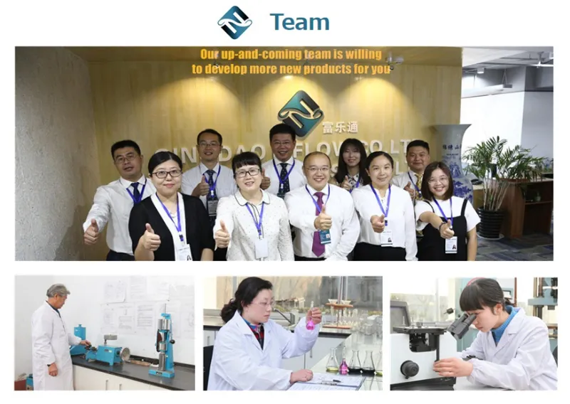 BS5150 Rising Stem Cast Iron Gate Valve with Bronze Ss Trim for Water