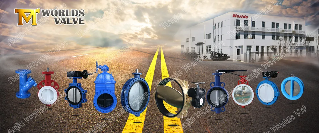 BS5163 Ductile Iron Gate Sluice Control Valve with Ce Approved