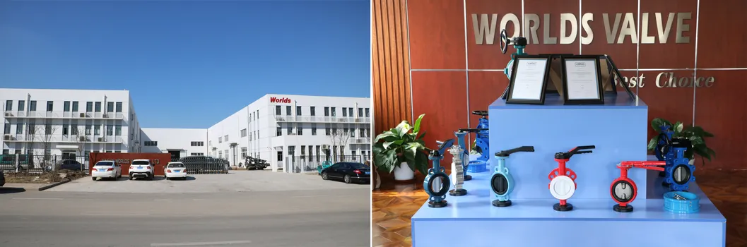 BS5163 Ductile Iron Gate Sluice Control Valve with Ce Approved