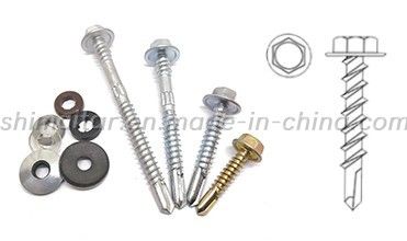 Carbon Steel 1022A Hex Head Self Tapping Screw Supplier