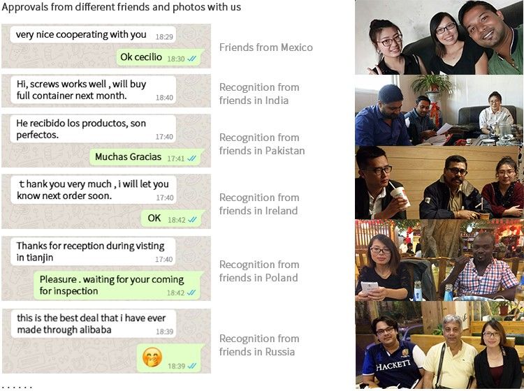 Carbon Steel 1022A Hex Head Self Tapping Screw Supplier