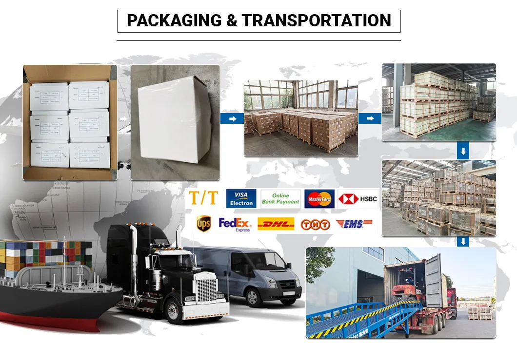 Common Bolt DIN6923 Stainless Steel Flange Serrated Nut