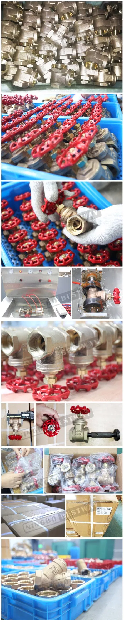 Forged Brass Gate Valve with Thread End (BW-G04)