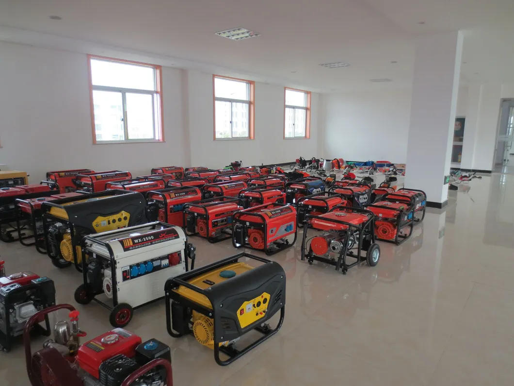 Gasoline Digital Invertor Generator 3.5kw 4.0kw