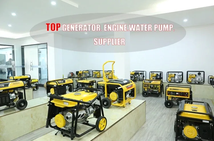 Genour Power Best Small Generator, 1000W Generator, Mini Petrol Generator