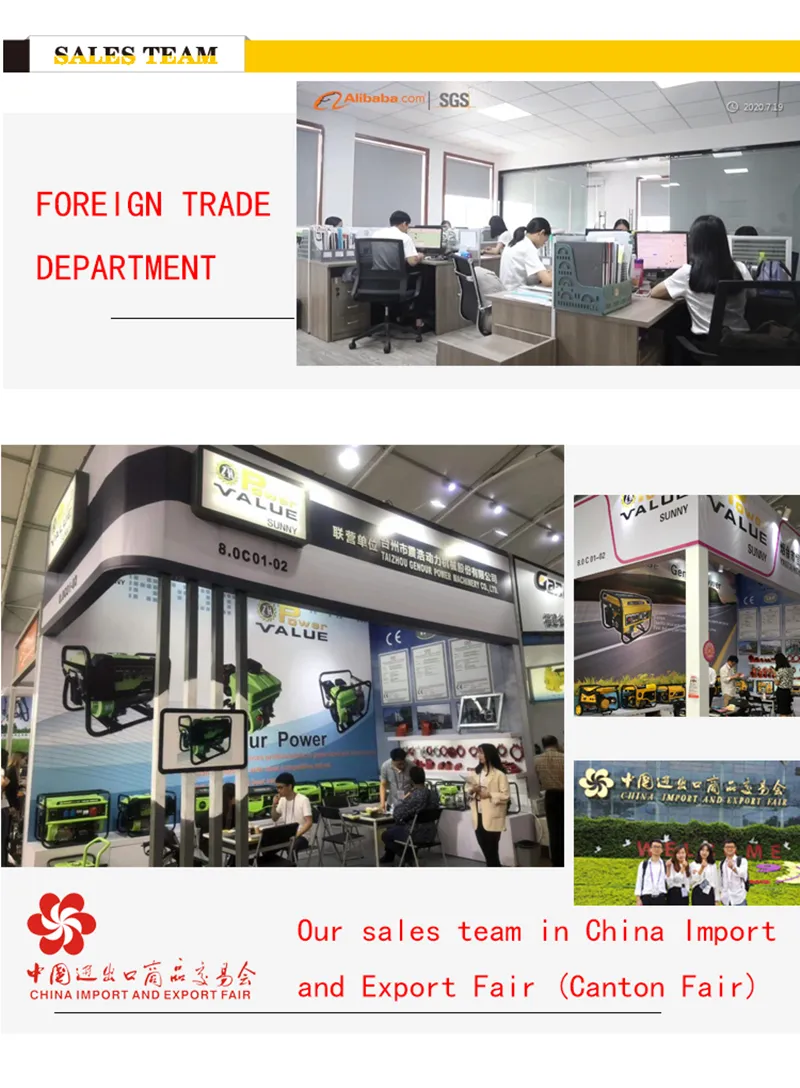 Genour Power Gasoline Generator 5.5HP Petrol Generator, 5.5HP Generator