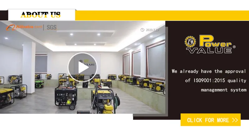 Genour Power Gasoline Generator 5.5HP Petrol Generator, 5.5HP Generator