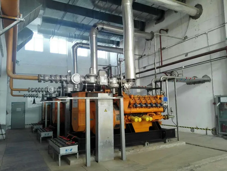 High Quality Biogas/Nature Gas Generator