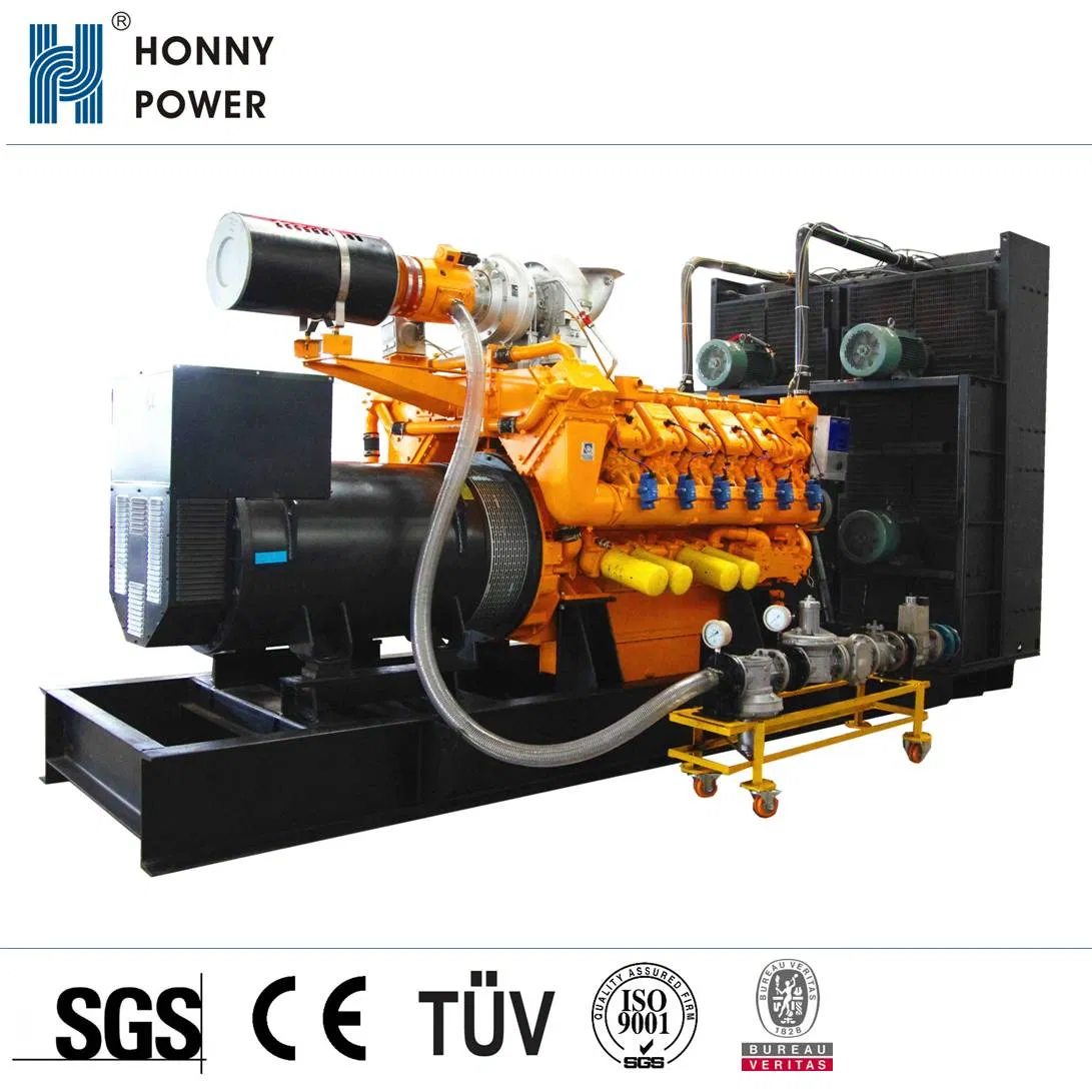 High Quality Biogas/Nature Gas Generator