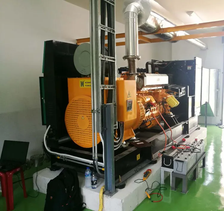 Honny Dual Fuel Generators with 30% Diesel Fuel, 70% Nature Gas