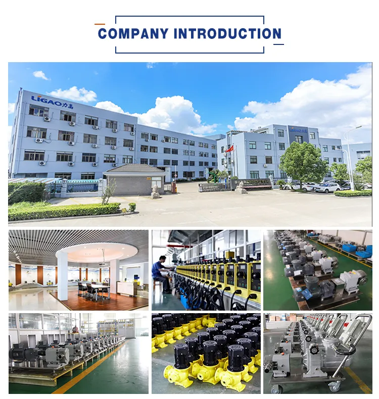 Jlm Swimming Pool Electric Chlorine Dosing Pump