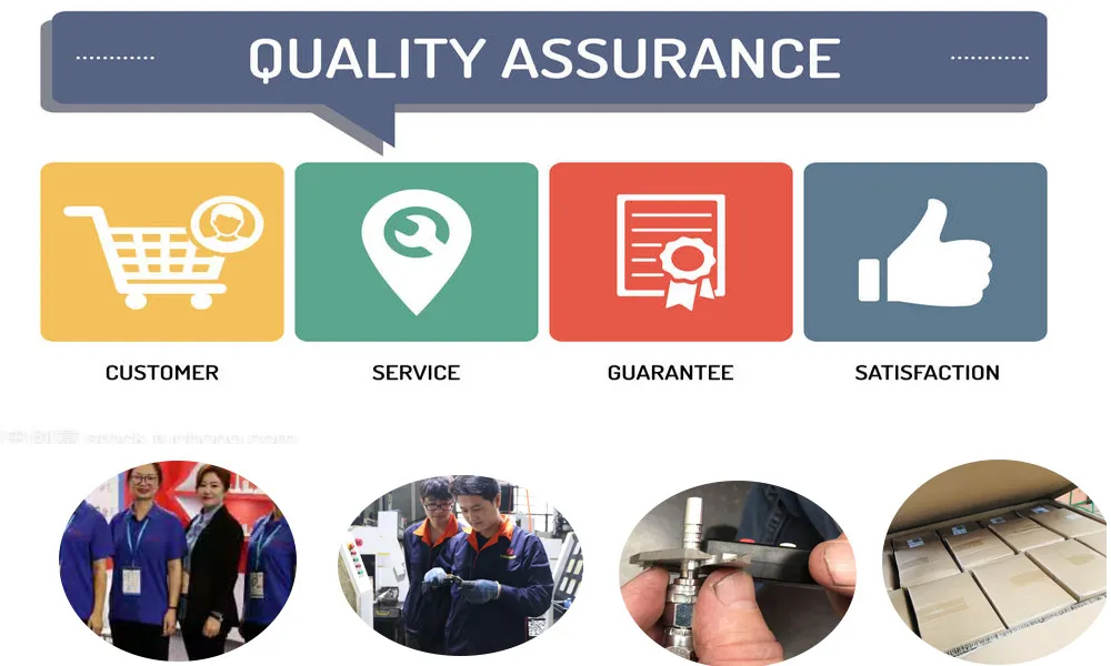 Metric Female Thread Forged Hydraulic Banjo Fittings (20511)