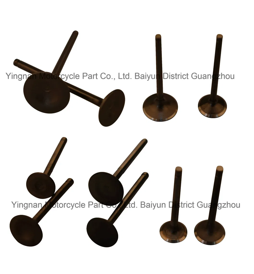 Motorcycle Parts Motorcycle Valve Set for Cbf