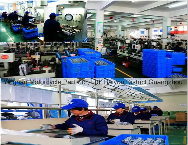 Motorcycle Parts Motorcycle Valve Set for Cbf