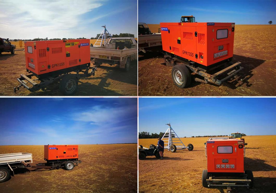 N4100ds Diesel Engine Low Noise 33kVA Standby Power Electirc Generator Set