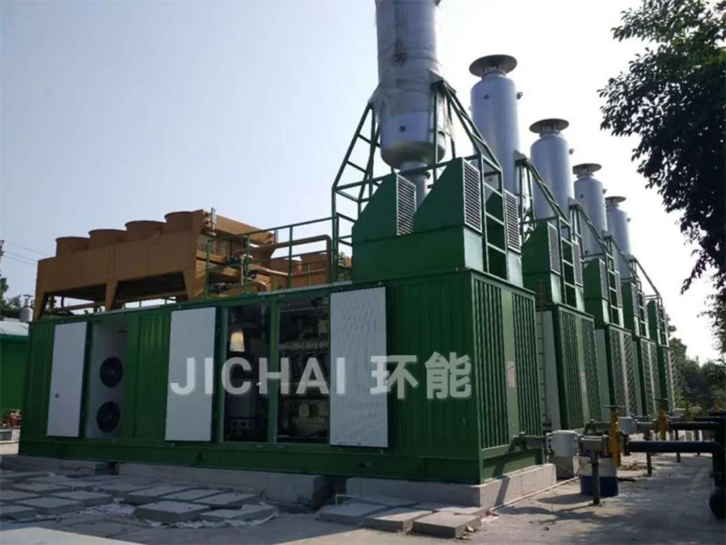 Renewable Energy Industry Gas Power Biogas Generator with Cchp