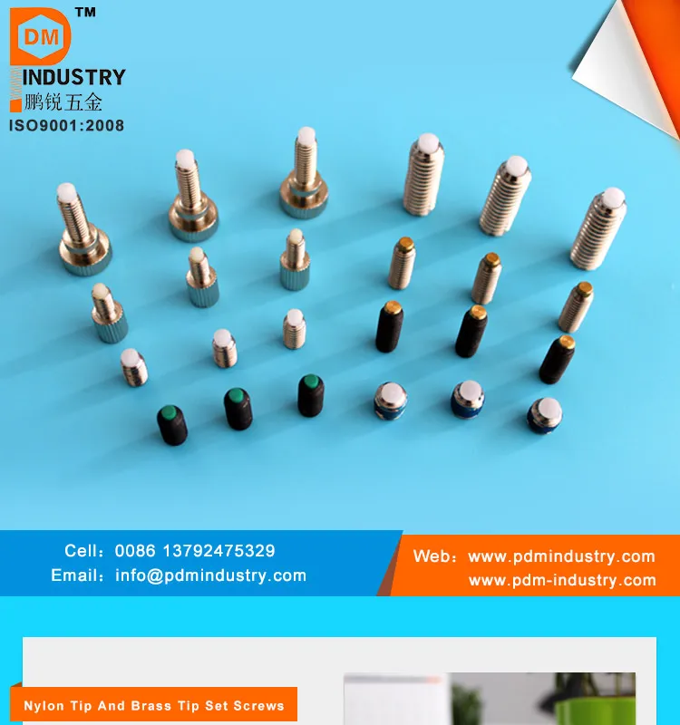 Socket Set Screw with Nylon Tip