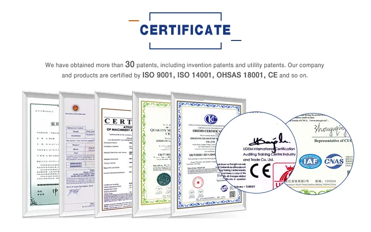 Solenoid Metering Dosing Pumps