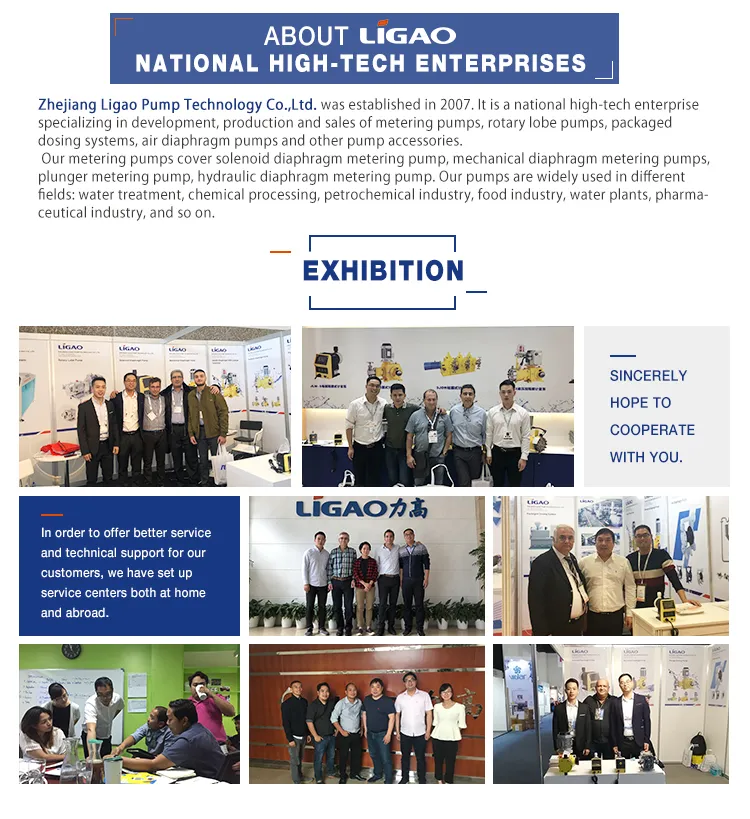 Swming Pool Dosing Pump