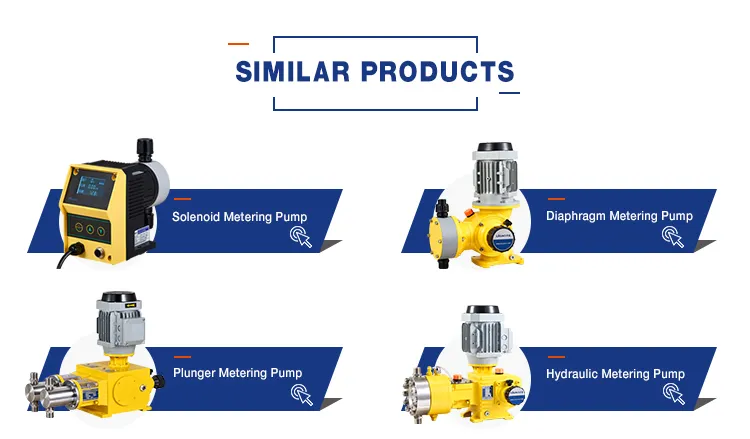 Swming Pool Dosing Pump