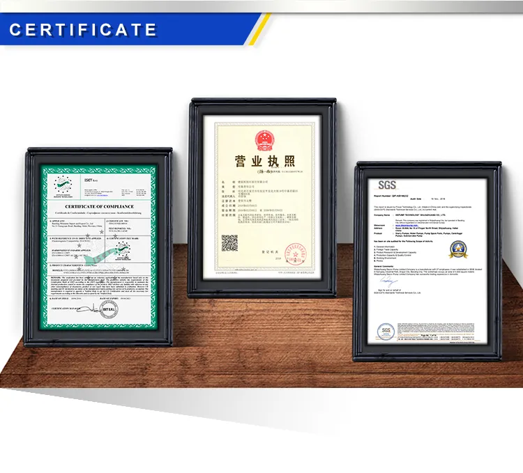 Vertical Centrifugal Slurry Pump Mud Pump for Gold Mining