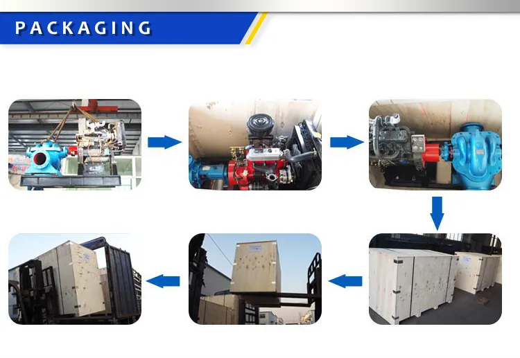 Vertical Centrifugal Slurry Pump Mud Pump for Gold Mining